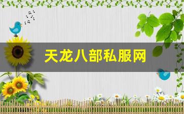 天龙八部私服网 (9)